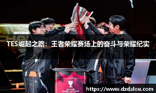 TES崛起之路：王者荣耀赛场上的奋斗与荣耀纪实
